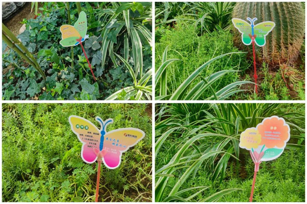 2003网站太阳集团种种形状的花卉责任牌