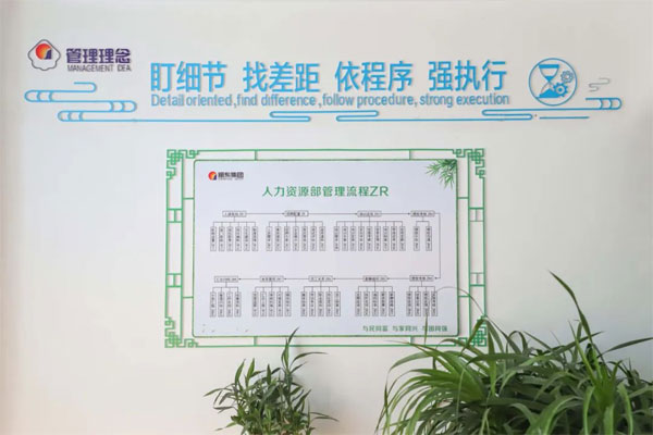 2003网站太阳集团治理流程