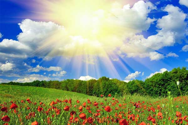 2003网站太阳集团-首页(接待您!)