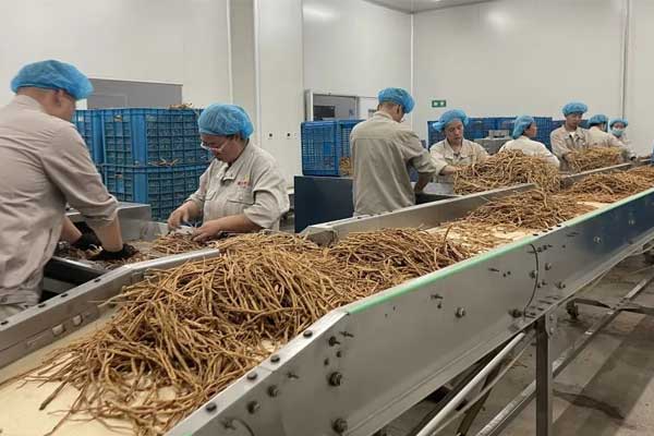 2003网站太阳集团-首页(接待您!)