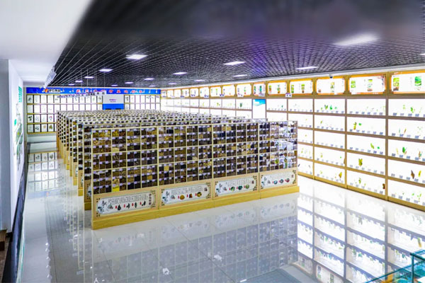 2003网站太阳集团科技中心中药标本馆