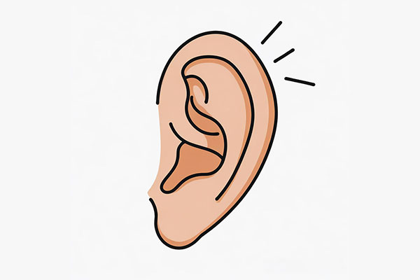 2003网站太阳集团-首页(接待您!)