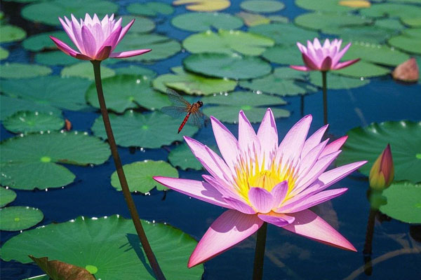 2003网站太阳集团-首页(接待您!)