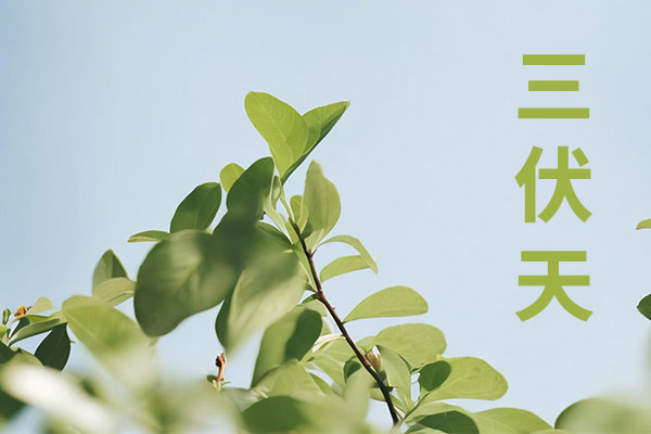 2003网站太阳集团-首页(接待您!)