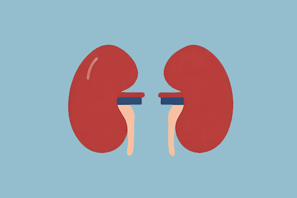 2003网站太阳集团-首页(接待您!)